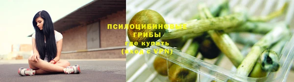 СК Инта