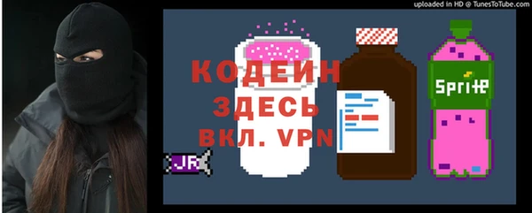 СК Инта