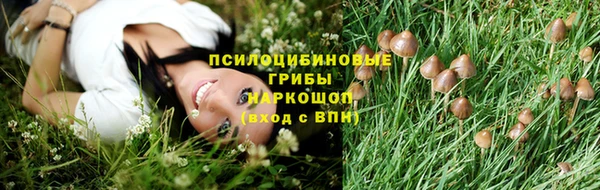 СК Инта
