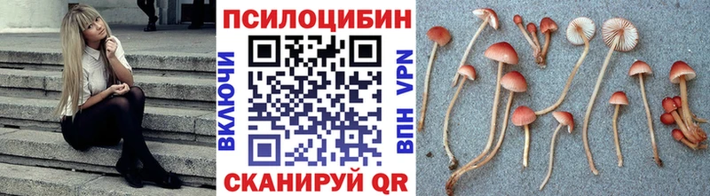Псилоцибиновые грибы Magic Shrooms  Купить где  Зеленогорск 